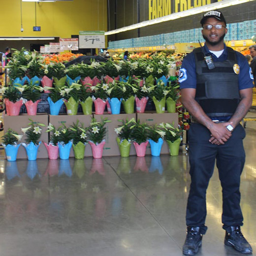 security guard on stand by